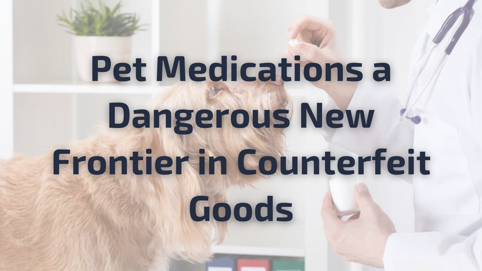 Pet Medications a Dangerous New Frontier in Counterfeit Goods